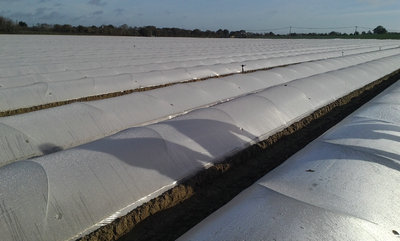 fiberglass rod